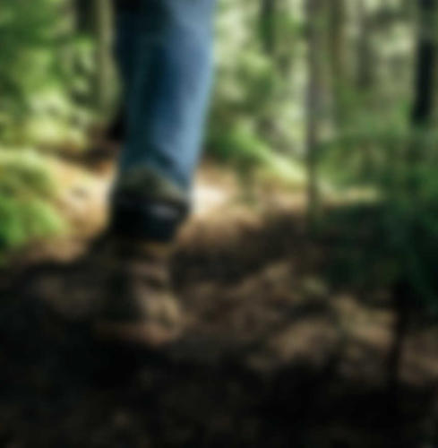 image-banner7