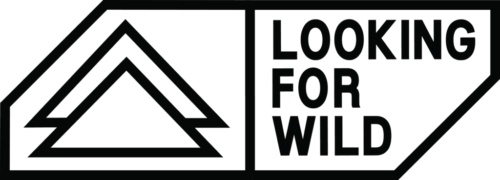 Looking For Wild